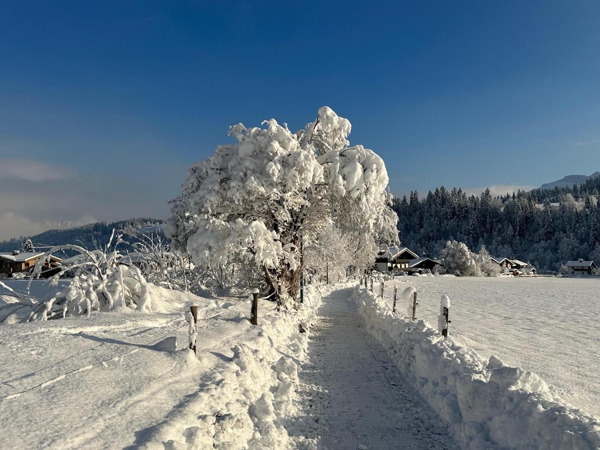 Pon-Apart Reith bei Kitzbühel Екстериор снимка